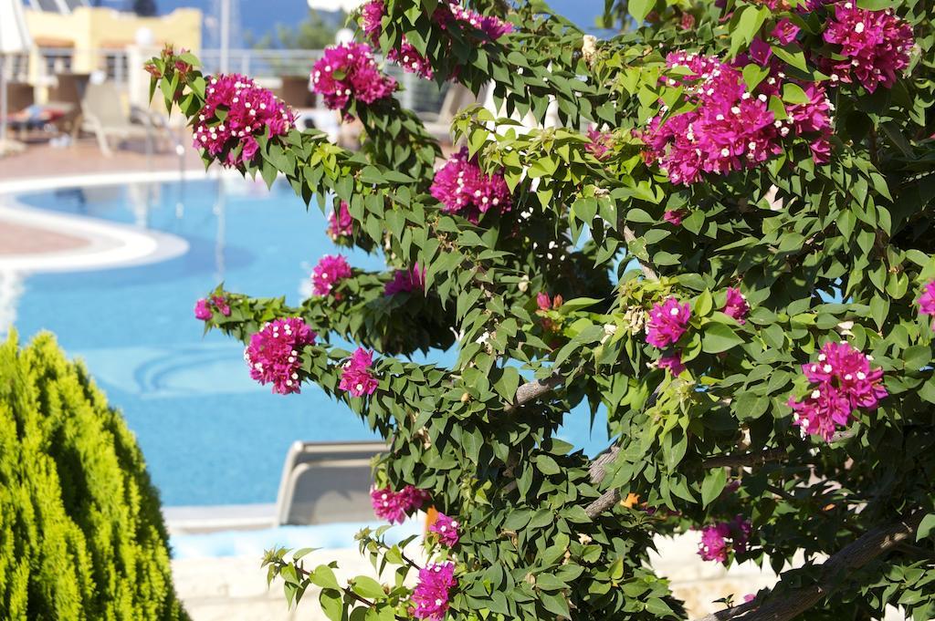 Pilot'S Villas Luxury Suites Hersonissos  Luaran gambar
